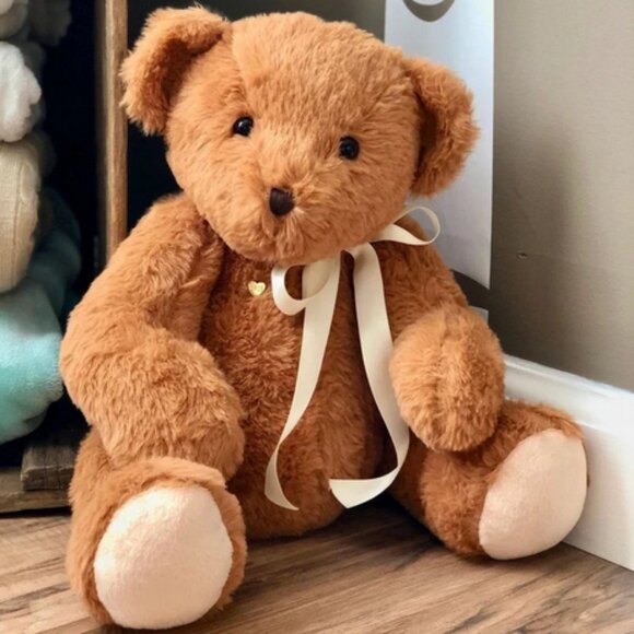 Other - Adorable Bear with Voice Recorder NWT